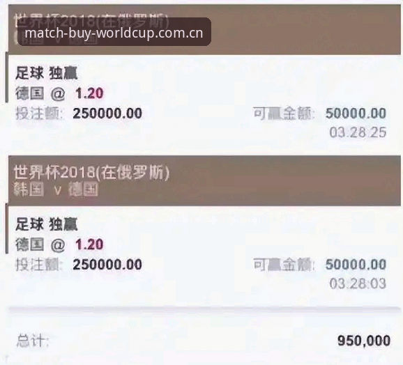 世界杯官方入口安全 世界杯买球平台安全深度评测:官方入口如何避开“李鬼”陷阱?